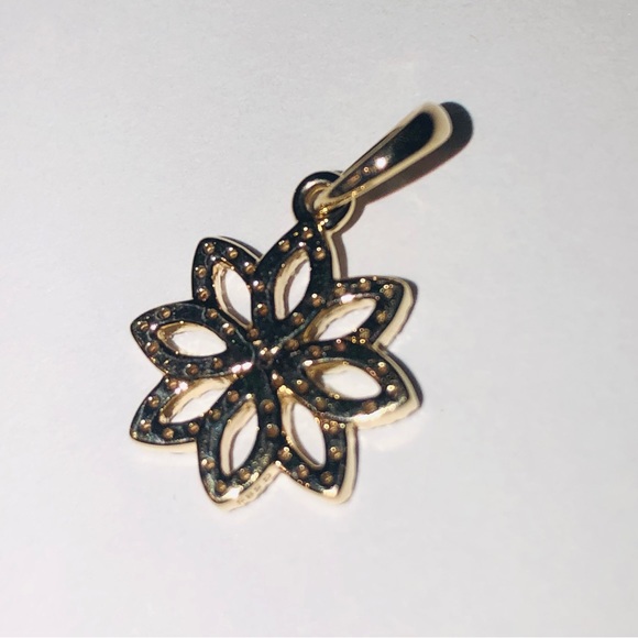 Authentic Pandora Solid 14k Gold Lace Botanique Floral Charm G585 Ale NWT - Picture 6 of 11